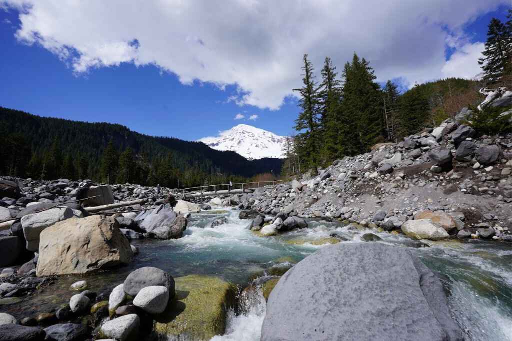 Mount Rainier National Park in Washington State