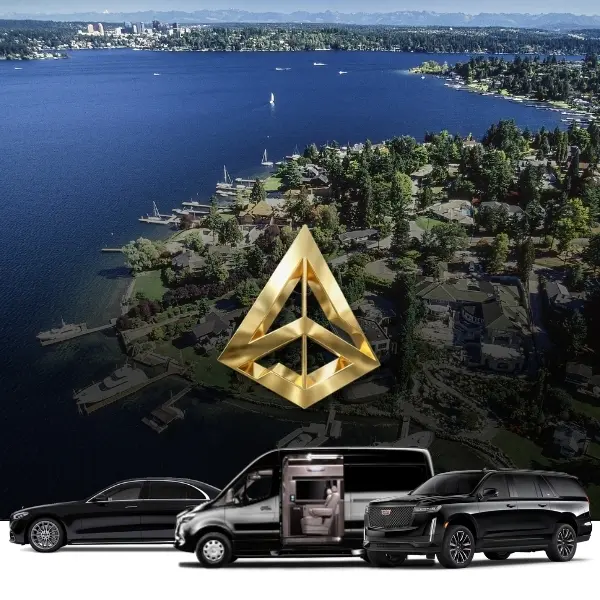 aerial view of mercer island luxury vehicle fleet
