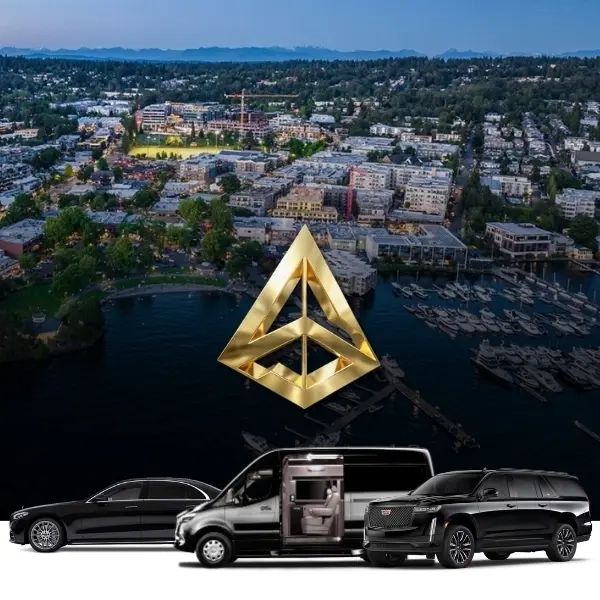 luxury black vehicles parked before a coastal city